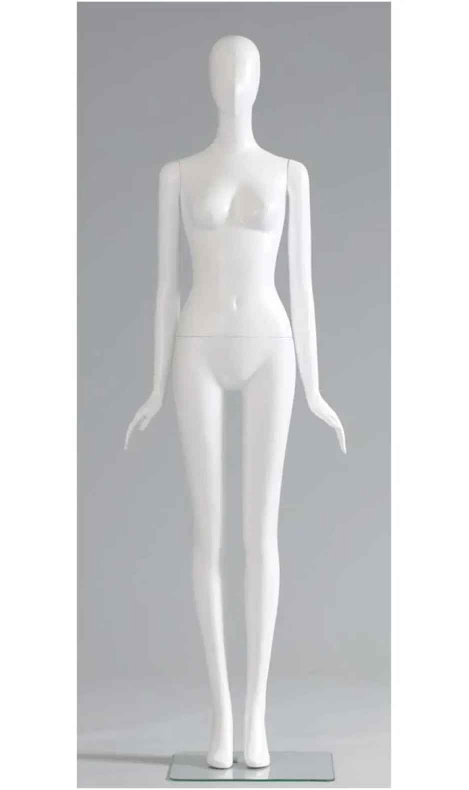 Shisuka シスカ F511